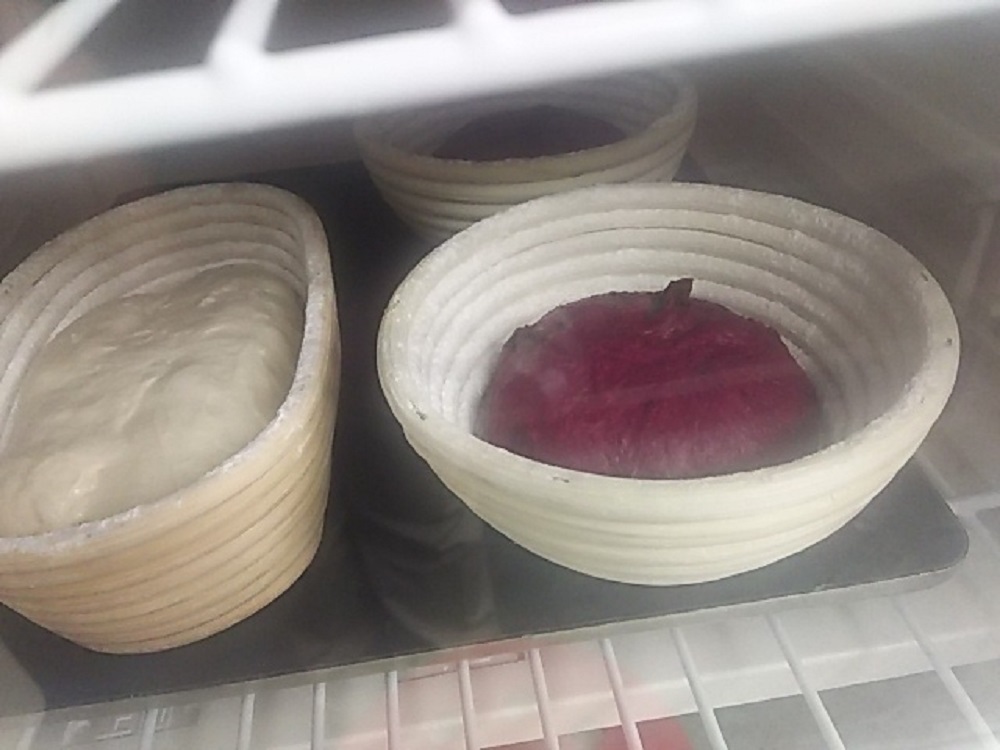 発酵器の中で発酵中