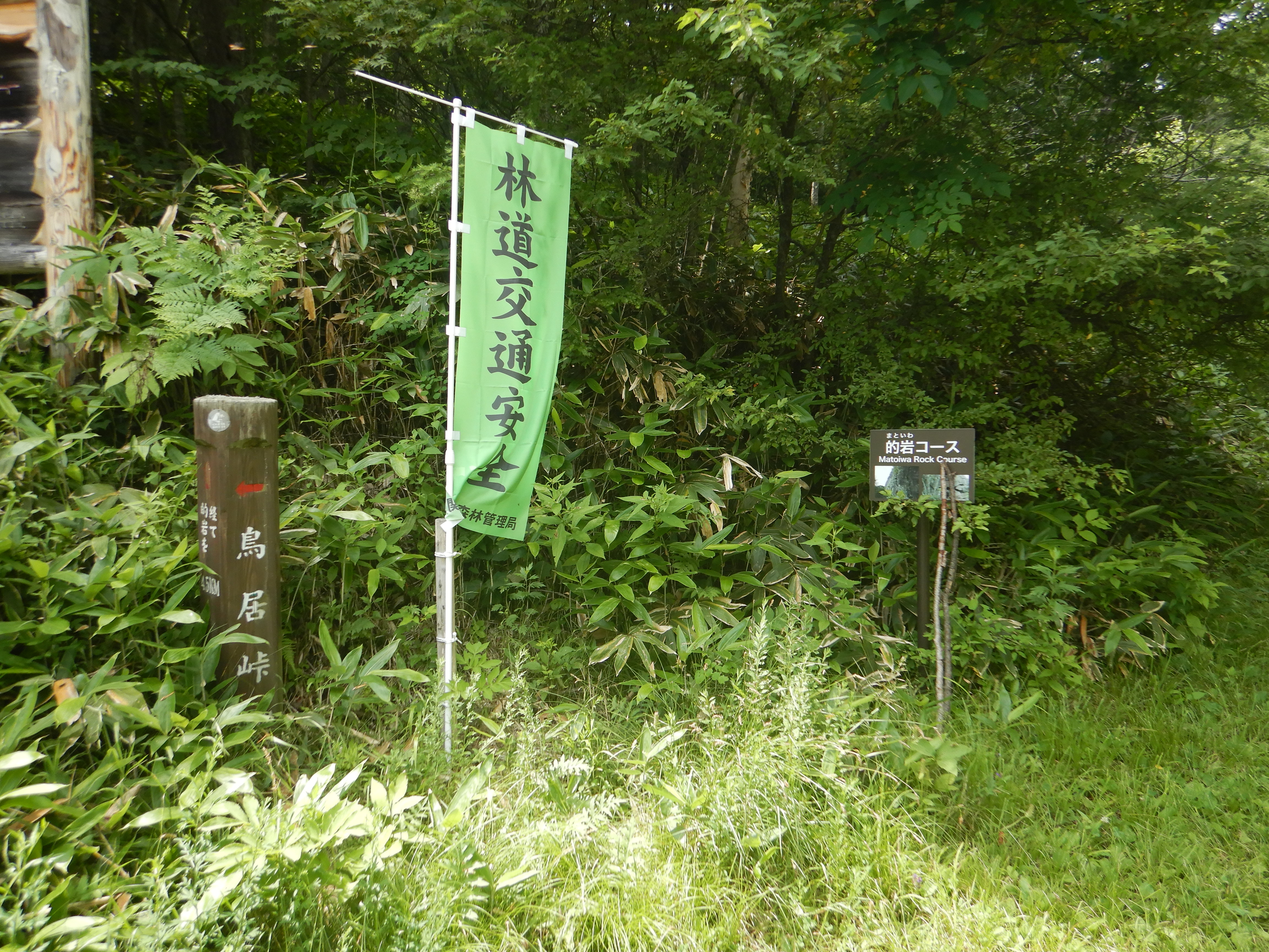 下山完了